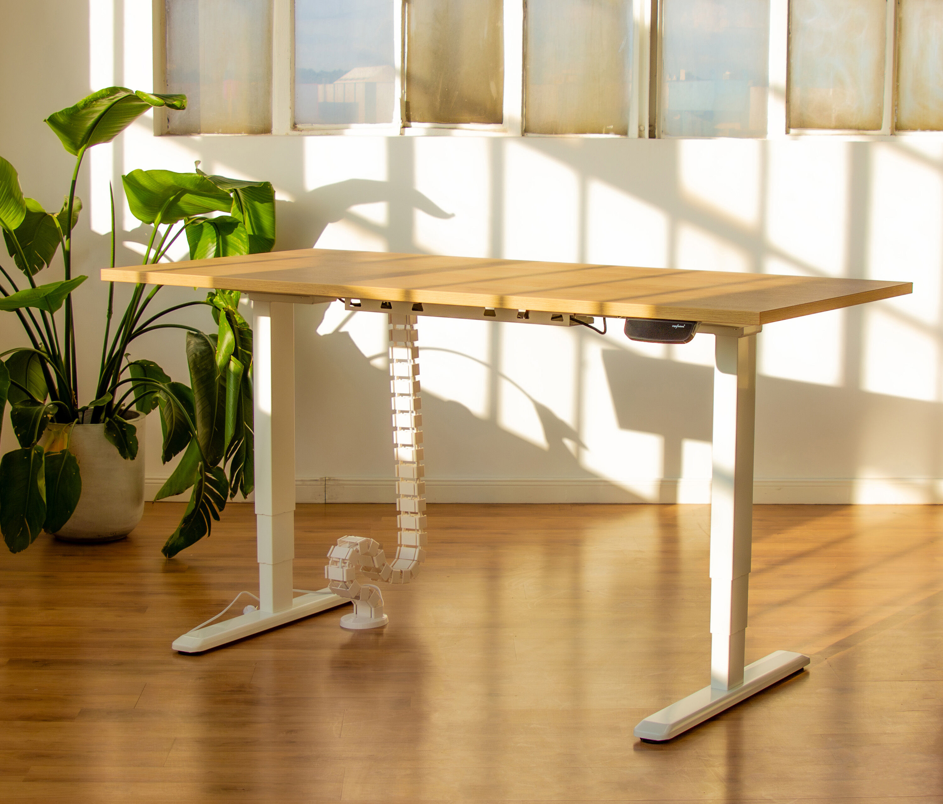 PRIMUS Rechteckschreibtisch, Gestell Weiß, Tischplatte 1200 x 700 x 19 mm Nussbaum