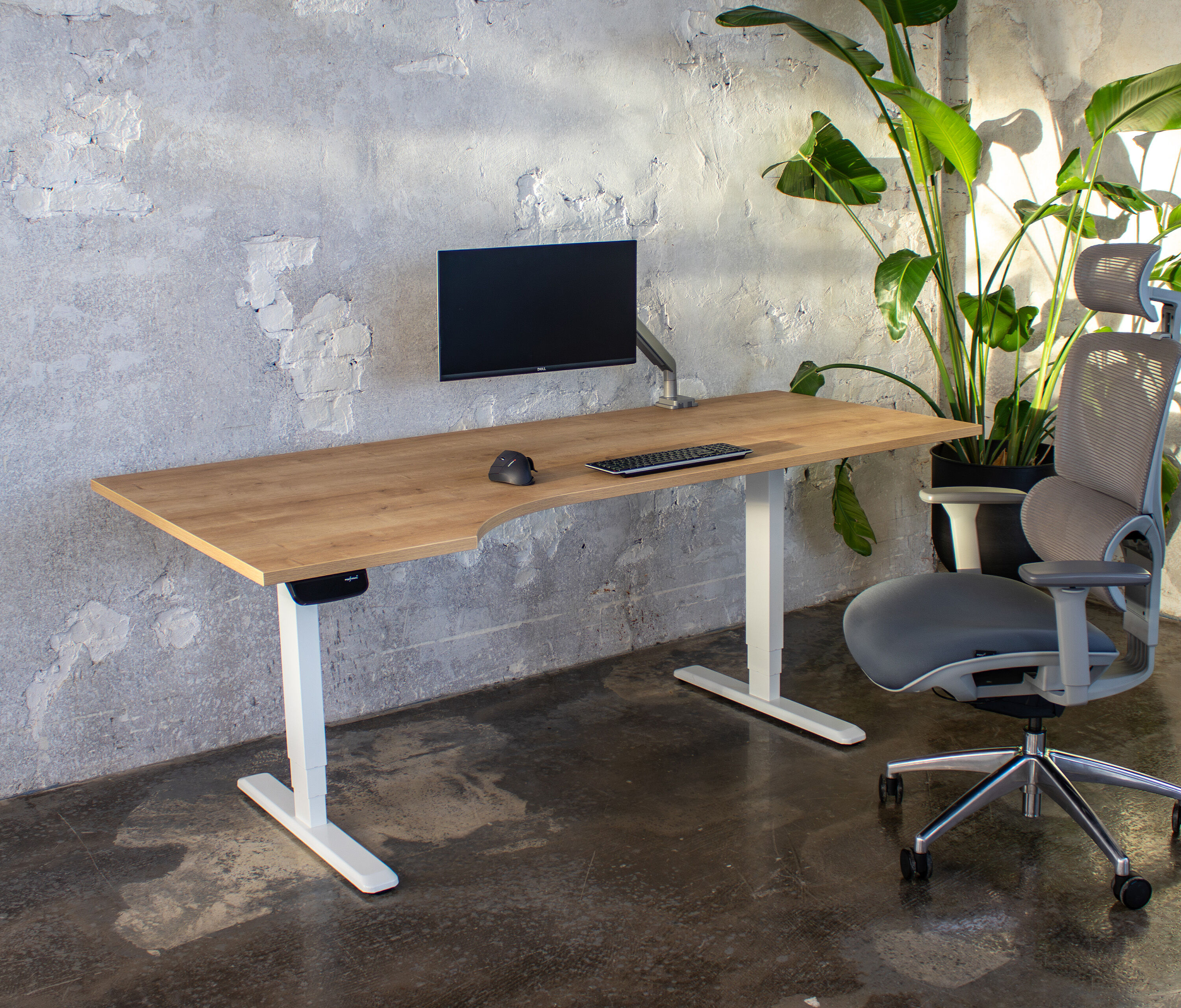 PRIMUS Freiformschreibtisch, Gestell Grau 1600 x 800/1000 x 25 mm Birke, Ausführung Rechts